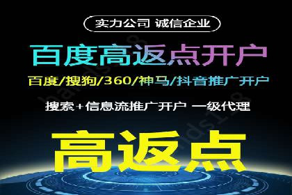 百度竞价包年推广的典型案例与效果展示